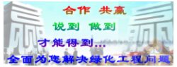 (lin)ϵ҂